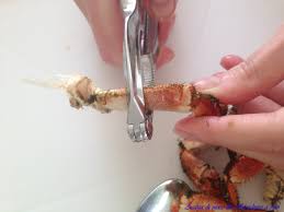 In natura, i granchi eremiti di terra sono onnivori, nel senso che mangiano sia vegetali che animali. Granchio Ecco Come Pulirlo Acqua Di Mare E Zucchero A Velo