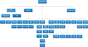 75 Systematic Flash Org Chart