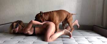 Sexo com cachorros grandes