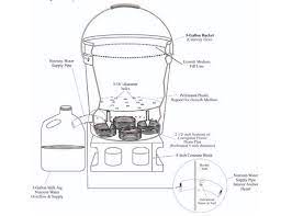 They can certainly turn a simple 5 gallon bucket into a living work of art! Self Watering Containers University Of Maryland Extension