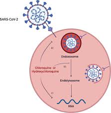 Image result for Chloroquine