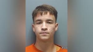 A Cherokee County teenager has been sentenced to 20 years, with the first  12 months to serve in prison, after pleading guilty to a January crash that  killed two people and seriously