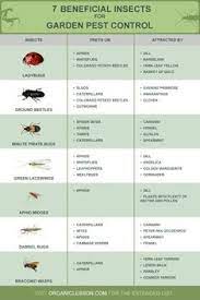 Pest control services require proper scheduling and recording of all business activities and the software that fully. No1 Pest Control Brisbane No1pestbri Profile Pinterest