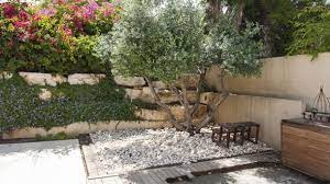 Ein mediterraner garten ist gemütlich und lebhaft gestaltet. Mediterranen Garten Anlegen Diese Pflanzen Machen Urlaubslaune
