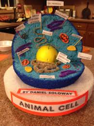 Pin By Valerie Pedoto Soloway On Dan The Man Animal Cell Project Cells Project Animal Cell