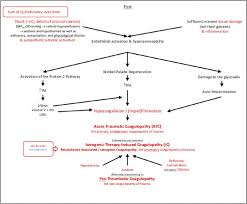 .marcumar pass vordruck marcumar ausweis zum ausdrucken sie fullen einen vordruck aus der nachfolgende vordruck einer patientenverfügung in kurzfassung ist daher nur ein beispiel, das. Level 3 Guideline On The Treatment Of Patients With Severe Multiple Injuries Springerlink