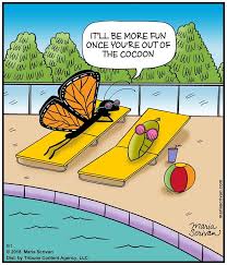 Why did the blonde throw butter out the window? 130 Butterfly Humor Ideas Butterfly Humor Caterpillar