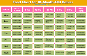 10 Month Old Baby Food Recipes Kerala 100 Best Healthy