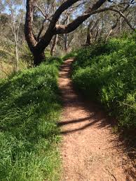 5 Courses To Boost Your Creativity Adelaide