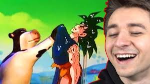 MALEDETTO PROCIONE!!