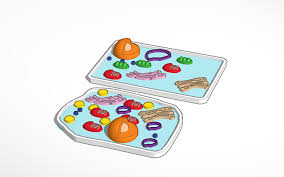 Check spelling or type a new query. Angel S Animal And Plant Cell Construction Kit Tinkercad
