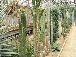 April das mitführen von hunden ist im botanischen garten nicht erlaubt, sie müssen vor dem tor warten. Botanischer Garten Der Universitat Des Saarlandes Dobschat Io
