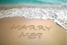Image result for images back hoe in beach sand write