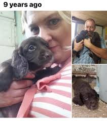 9 years today our “gotcha” day ❤️❤️