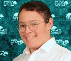 Aryeh Goldstein's Instagram, Twitter & Facebook