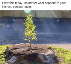 Image It S Never Too Late To Begin Again R Getmotivated