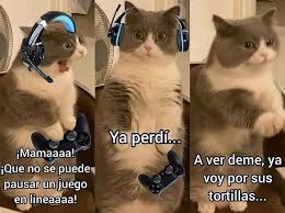 Se puede jugar en grupos grandes y combinarse hasta dos barajas para hacerlo más emocionante. Kfjn9zj5oppurm