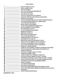 Worksheets are available for a testing tool to discover the scholastic aptitude and. Endocrine System Quiz Or Worksheet By Everything Science And Beyond