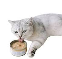 Find Similar Icon High Quality OEM/ODM Pet Cat Food Canned Chicken and Tuna  Blend Safely and Naturally.