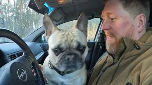 Reise und Rundgang Hinterzarten Schwarzwald Hotel