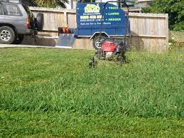 Going by the report from detailed research and feasibility studies, you will need an average of $50,000 to start a small scale landscape and lawn care business in the united states of america. How Much Does It Cost To Set Up A Lawn Care Business Lawnmowing 101 How To Start And Grow A Lawn Care Business