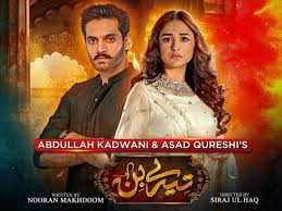 Tere Bin 2: Yumna Zaidi, Wahaj Ali's drama arriving tomorrow?