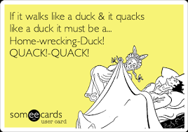 If It Walks Like A Duck It Quacks Like A Duck It Must Be A Home Wrecking Duck Quack Quack Breakup Ecard