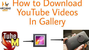 Found a fun youtube video and want to download it? How To Save Youtube Videos To Gallery Without Any App Video Dailymotion