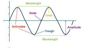 In transverse waves, the particle movement is perpendicular to the direction of wave propagation. 10 Differences Between Longitudinal And Transverse Waves With Examples Similarities Viva Differences