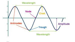 How they work, their main features and properties, and the main characteristics. 10 Differences Between Longitudinal And Transverse Waves With Examples Similarities Viva Differences