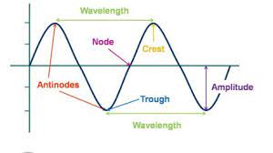 By matching up those characteristics, it is possible to render longitudinal. 10 Differences Between Longitudinal And Transverse Waves With Examples Similarities Viva Differences