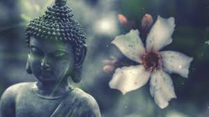 Maybe you would like to learn more about one of these? Inspirational Buddha Quotes On Love Happiness Change