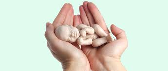 Resultado de imagen para aborto
