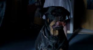 Teeth — The Bloodlust