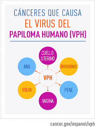 We did not find results for: El Virus Del Papiloma Humano Vph Y El Cancer Instituto Nacional Del Cancer