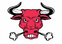 BULL RIDES