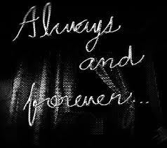 Check spelling or type a new query. Hd The Mikaelsons Wallpapers Peakpx