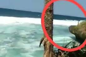 Setelah kalian udah bisa menggambar sketsa dengan pemandangan hutan, kalian juga bisa mencoba gambar sketsa pantai. Heboh Penari Di Laut Selatan Tertangkap Kamera Harianjogja Com