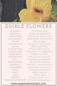 20 Edible Flowers Edible Flowers Pumpkin Flower Permaculture Design