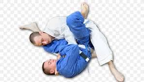 Ff judo logo png transparent images download free png images, vectors, stock photos, psd templates, icons, fonts, graphics, clipart, mockups, with transparent background. Brazilian Jiu Jitsu Grappling Jujutsu Mixed Martial Arts Judo Png 624x468px Brazilian Jiujitsu Arm Blue Brazilian