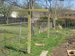 On the previous episode i planted seeds in the ground, on this episode i built a trellis for my cold hardy kiwis. Hardy Kiwi Trellis Build Forest Market Garden