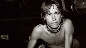 Punk godfather who began shocking in the late '60s, influencing and outlasting practically every punk movement to come. Iggy Pop I Ve Finally Got The Voice I Was Supposed To Have Bbc News