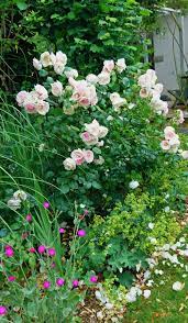 jardin de granville jardin de luchane