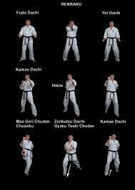 8 º Kyu Kyokushikai Karate Tecnica Karate Kyokushin Viana Facebook