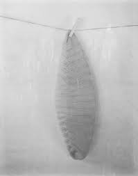 I Imagined It Empty Ruth Lauer Manenti