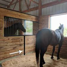 36' x 36' horse barn. Wall Brace Horse Stalls Horse Barn Ideas Stables Horse Tack Rooms