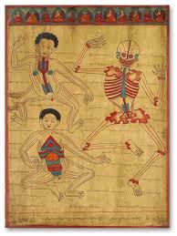 Collection Of Tibetan Anatomical Medical Paintings Buddhist Art Tibetan Art Medical Illustration