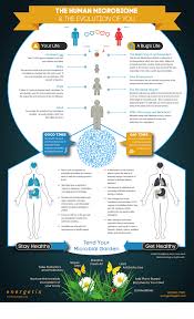 Mindbodygreen On Twitter Microbiome Microbiome Diet Infographic