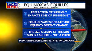 Image result for Equilabium selukwense