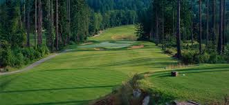 Booking And Cancelling Tee Times Northlands Golf Course